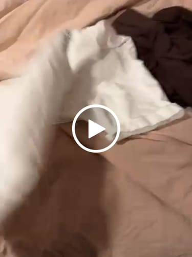 Customer video review of WARDEN EDGE Oversized Cotton Tee