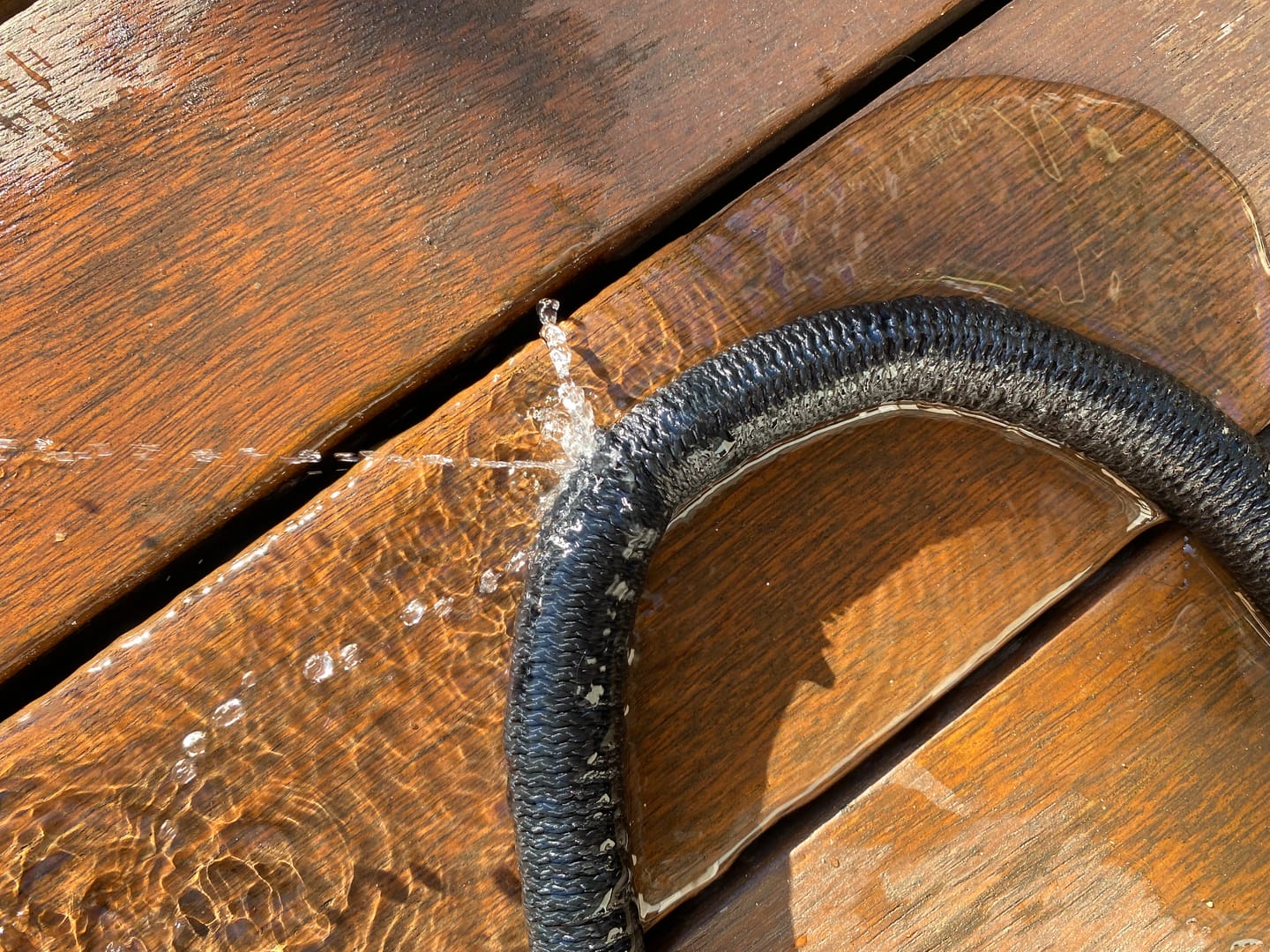 Customer photo review of GardenMate™ - Expandable Garden Hose