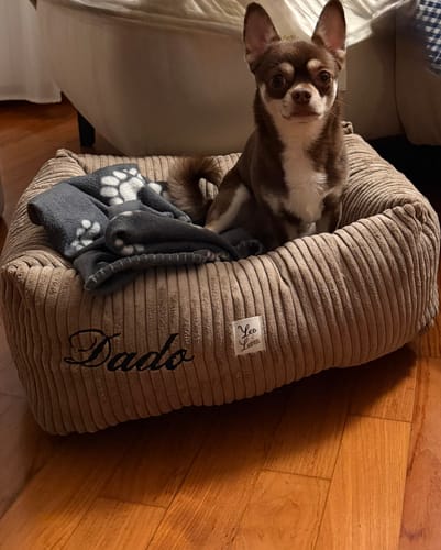 Customer photo review of Divanetto Velluto a Coste Marrone