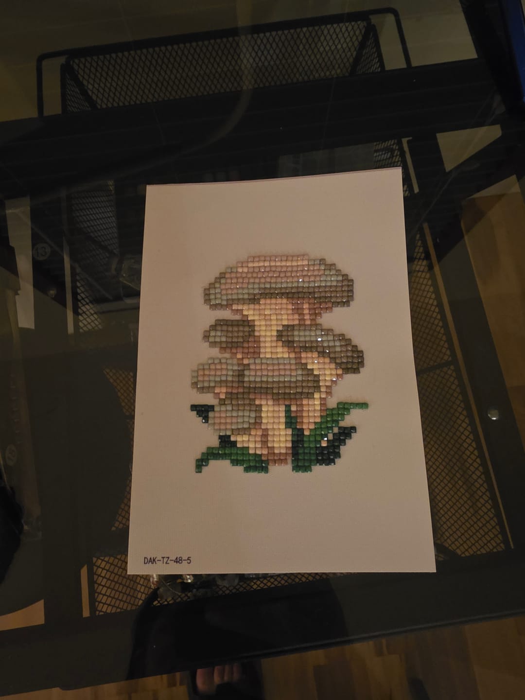 Customer photo review of Mushroom Set
