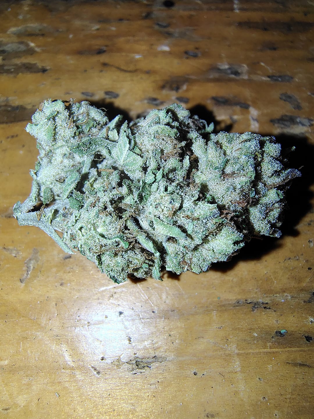 Customer photo review of Lemon Haze Indoor THCA Trim