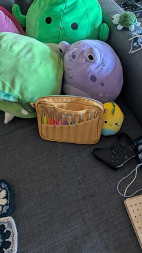 Customer photo review of Soolla® Studio Pouch, Sedona