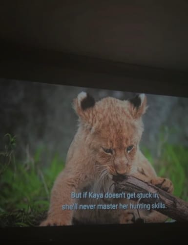 Randoria customer photo review