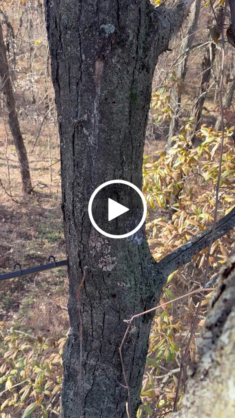 Customer video review of Titanium Broadheads