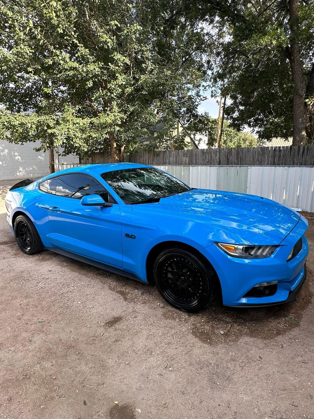Customer photo review of Ripclean: The Hercules 1400 GSM Ultra Absorbent Soft Drying Towel - Scratch Free drying