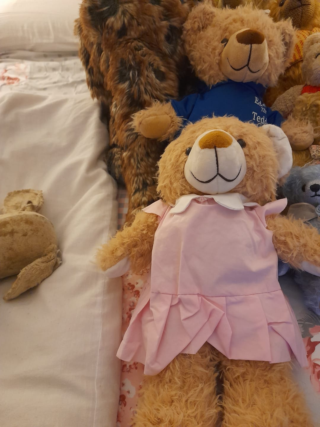 Customer photo review of Peggy The Teddy Bear