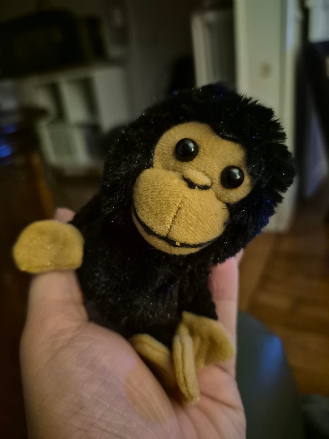 Customer photo review of Singe Marionnette