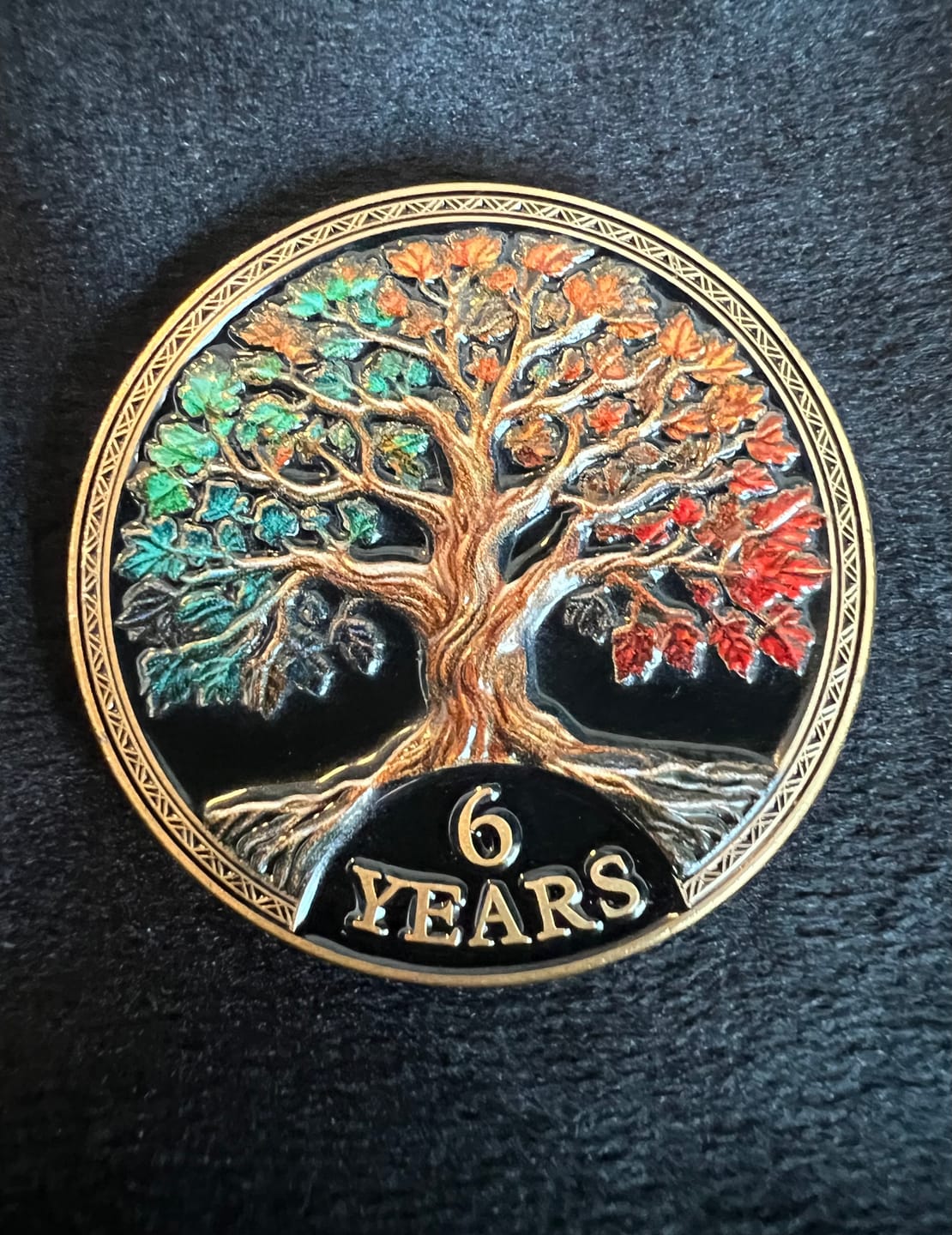 Customer photo review of Tree of Life Affirmation Sobriety Coin Gift Set - Multicolor
