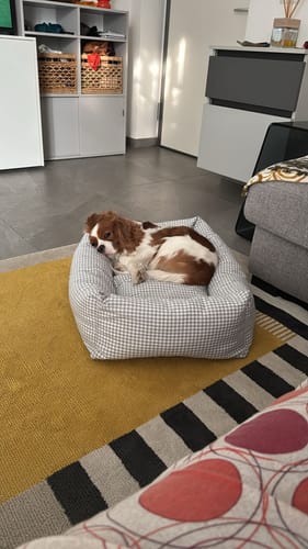 Customer photo review of Divanetto Cotone Vichy Grigio Chiaro