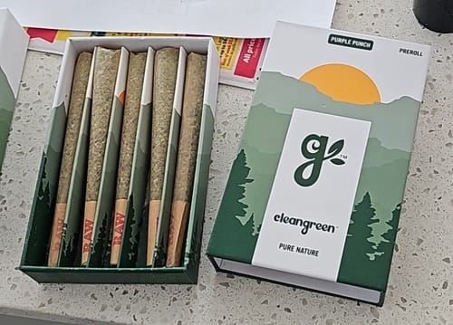 Customer's open box showing the Purple Punch Pre-Rolls neatly arranged next to the Cleangreen packaging.