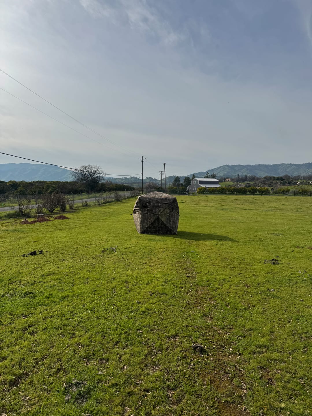 Customer photo review of VisX/VisMax See Through Hunting Blind, Pop Up Ground Deer Blind