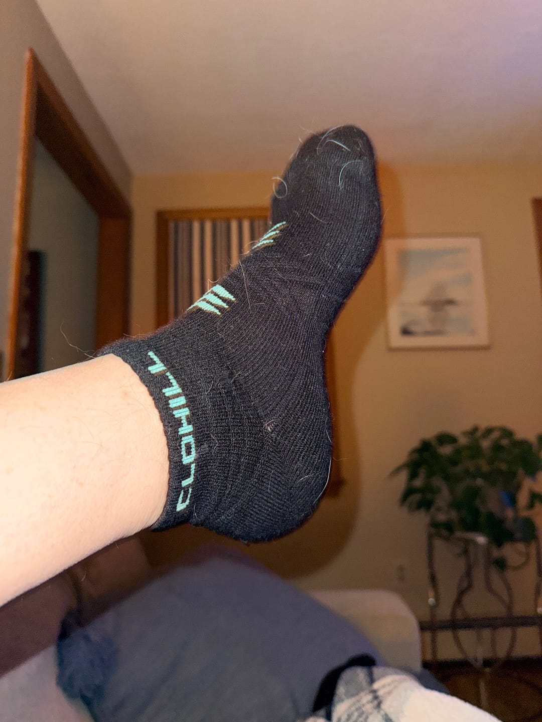 Customer photo review of Ankle Socks 8 Pairs