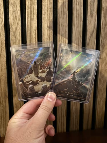 Customer photo review of Collector's Bundle