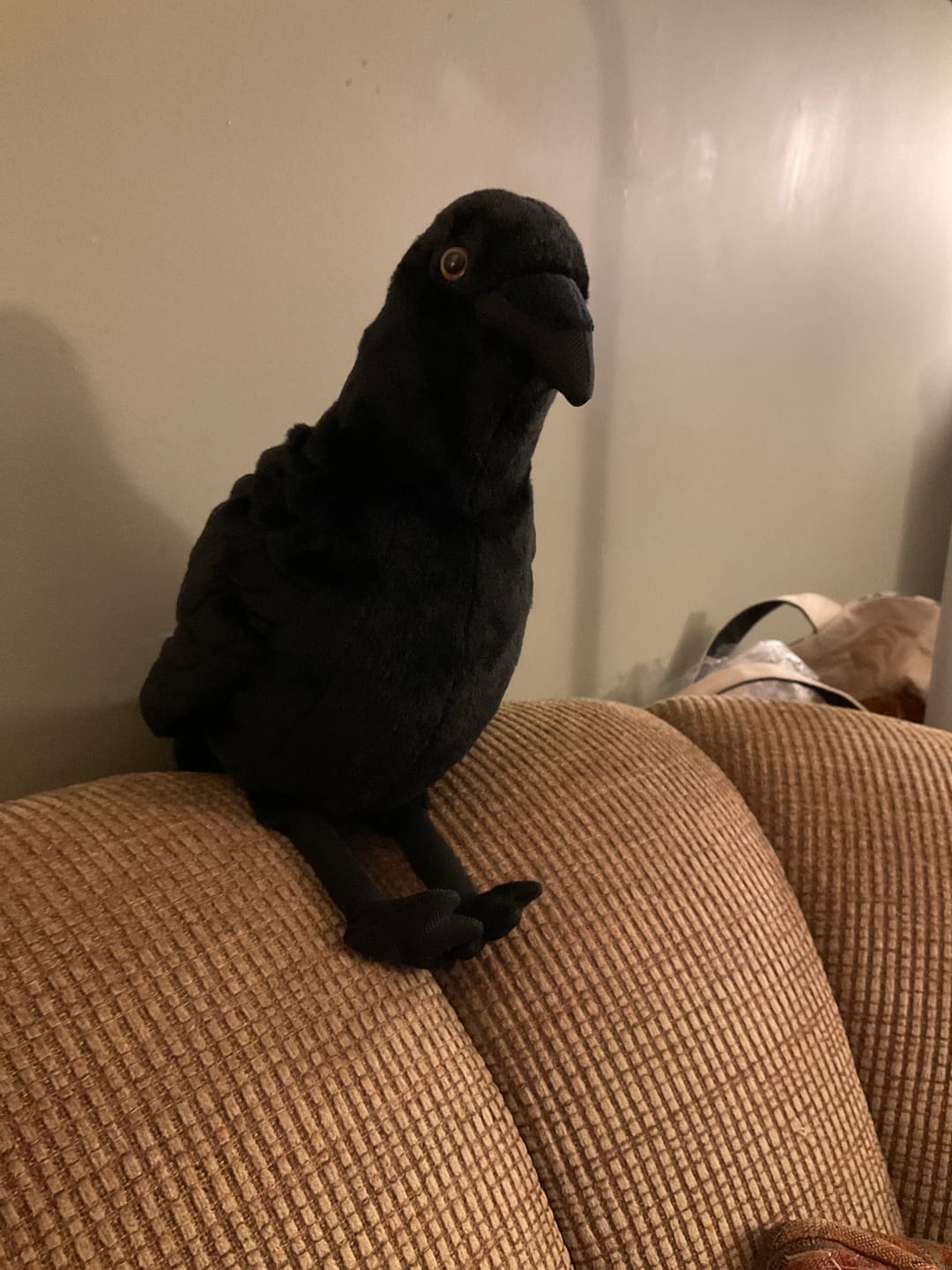 Customer photo review of American Crow Bird Soft Stuffed Plush Toy