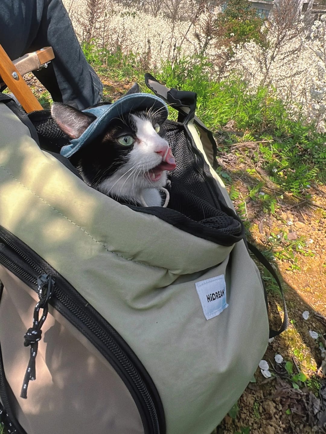 Customer photo review of Comfortable Labor-saving Front Pet Carrier