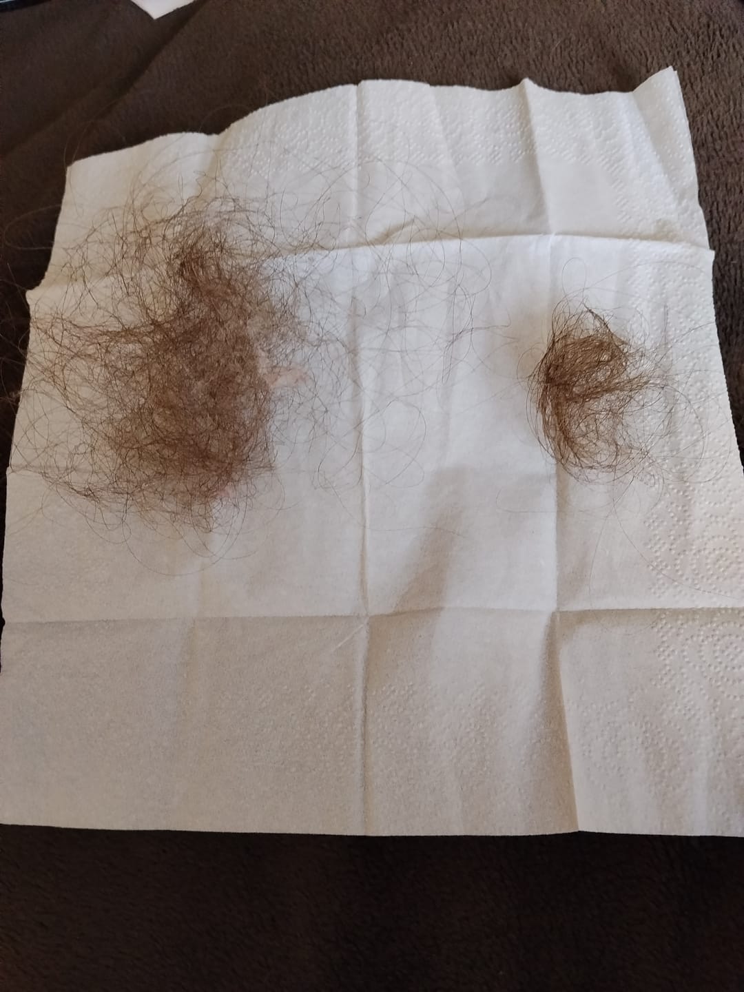Customer photo review of Hajhullás Csökkentő Szilárd Sampon Rozmaringolajjal