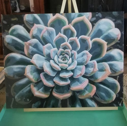 Customer photo review of Spiral Succulent - Paint by Numbers Kit