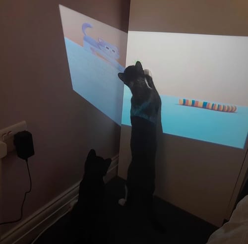 Randoria customer photo review