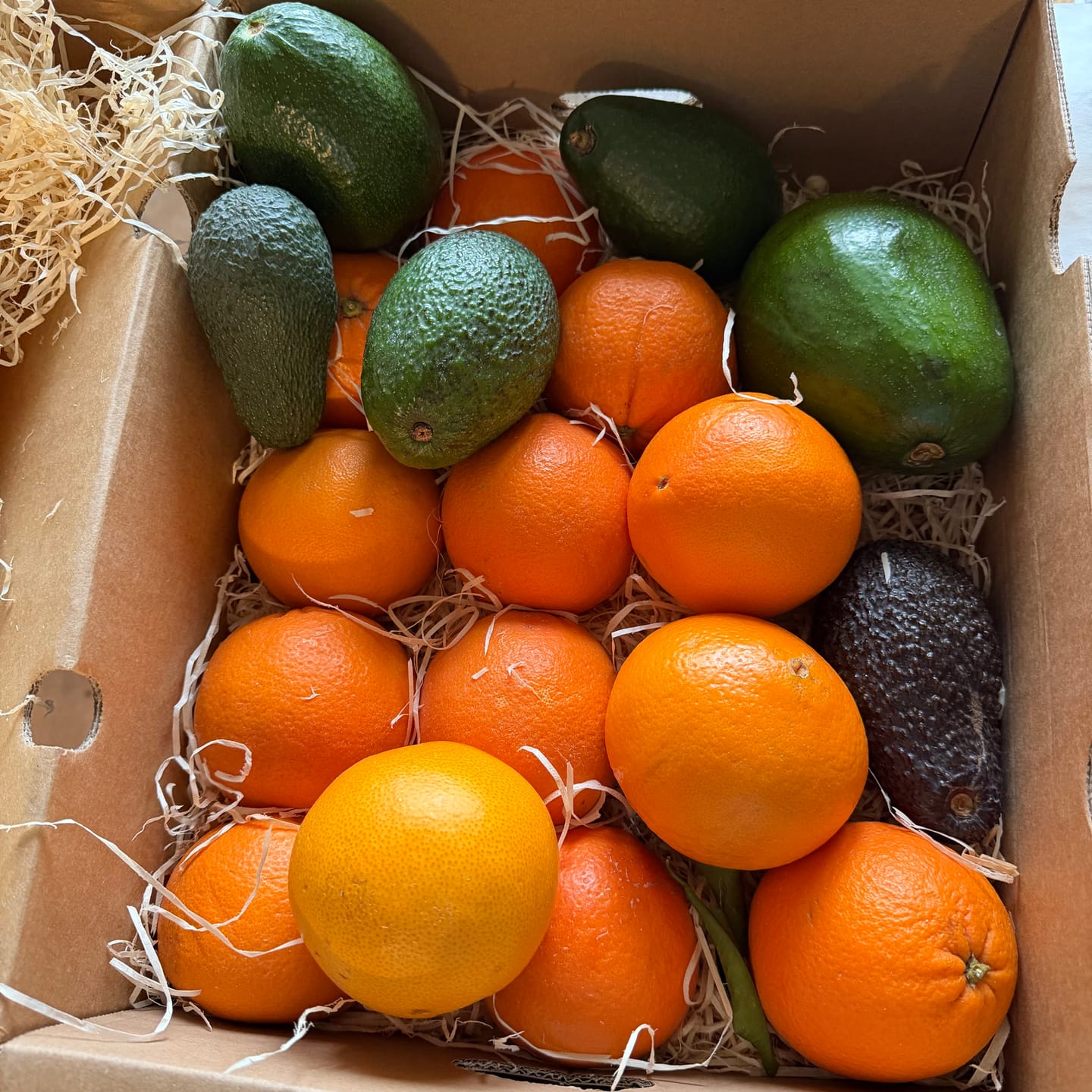 Customer photo review of Avocado-Mix Sonderaktion % 2kg Box