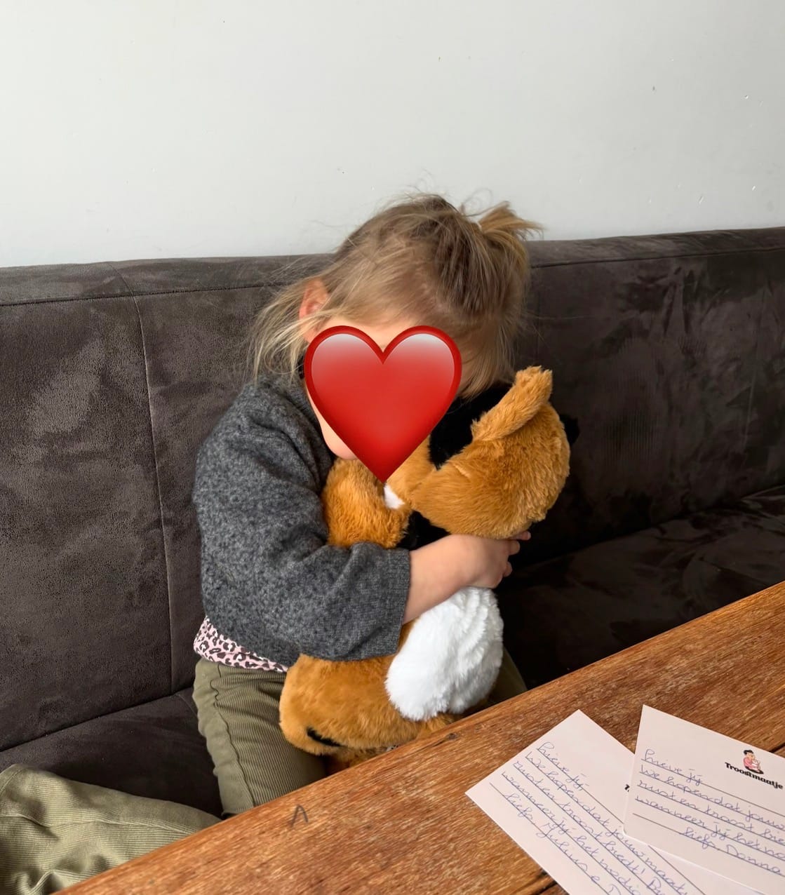 Customer photo review of Verzwaringsknuffel Kat 2,2 kg + Gratis Pittenzakje