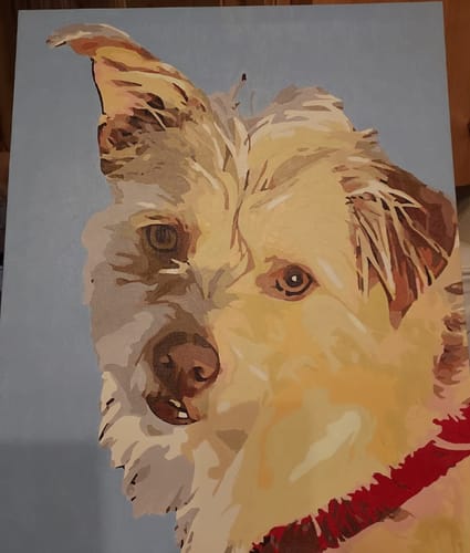 Customer photo review of Custom Pet Paint By Numbers