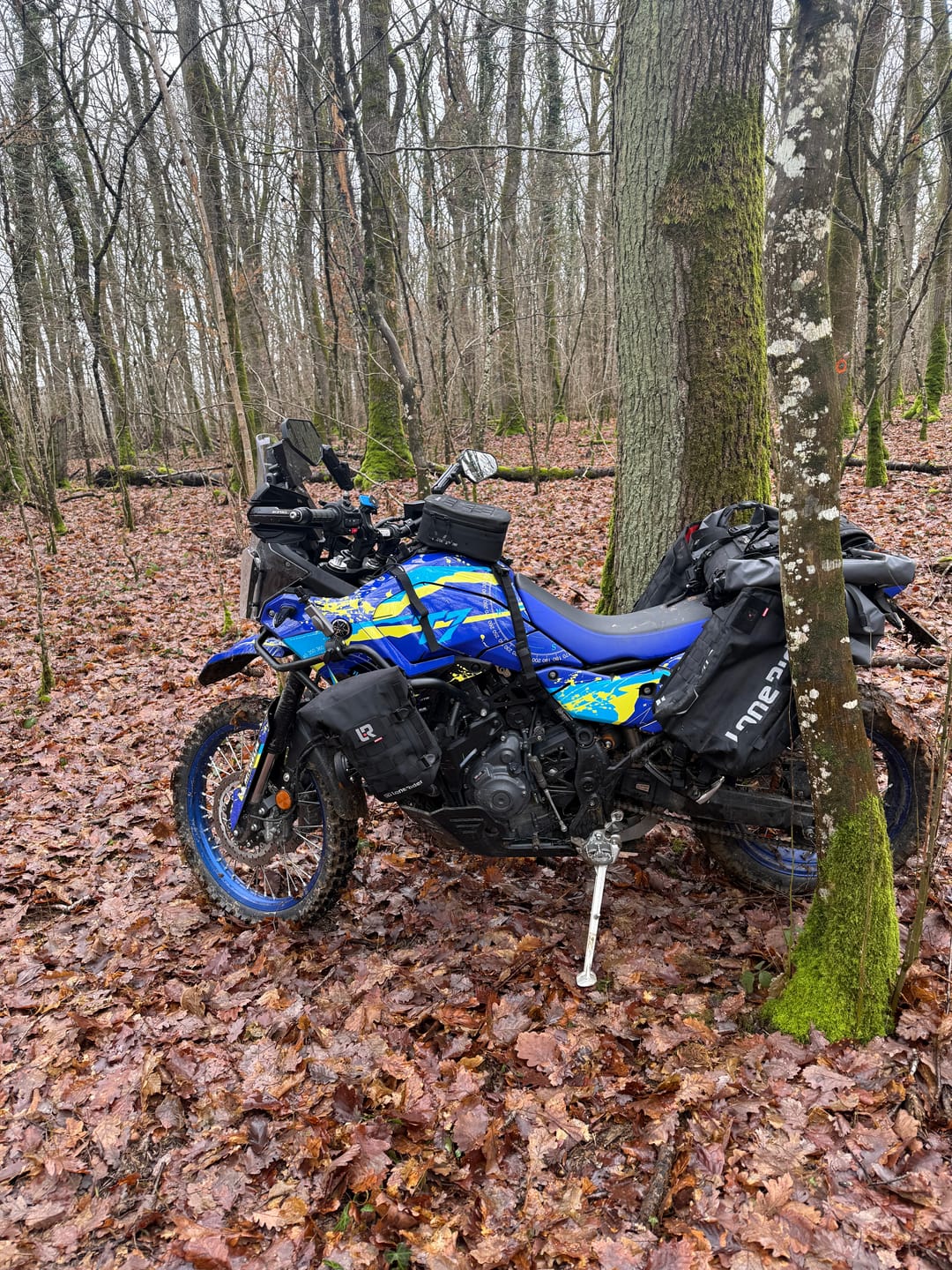 Customer photo review of ADVBags 70 – Rackless Saddle Bags