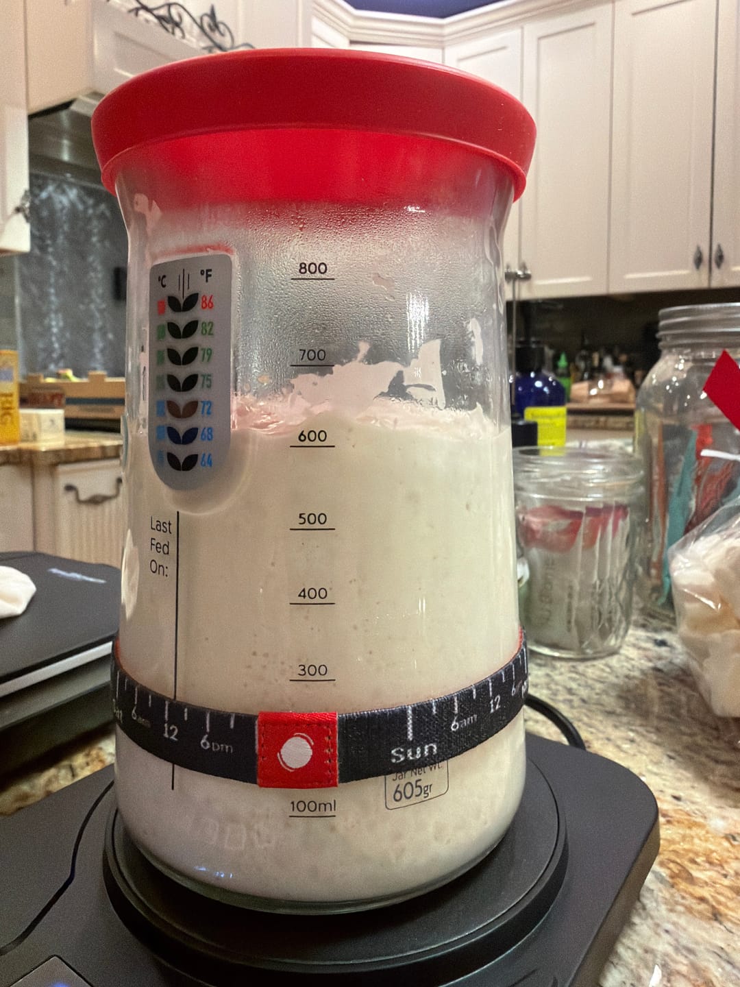 Customer photo review of Sourdough Starter Survival Guide | A Clear, Beginner-Friendly System for Feeding & Maintaining a Healthy Starter