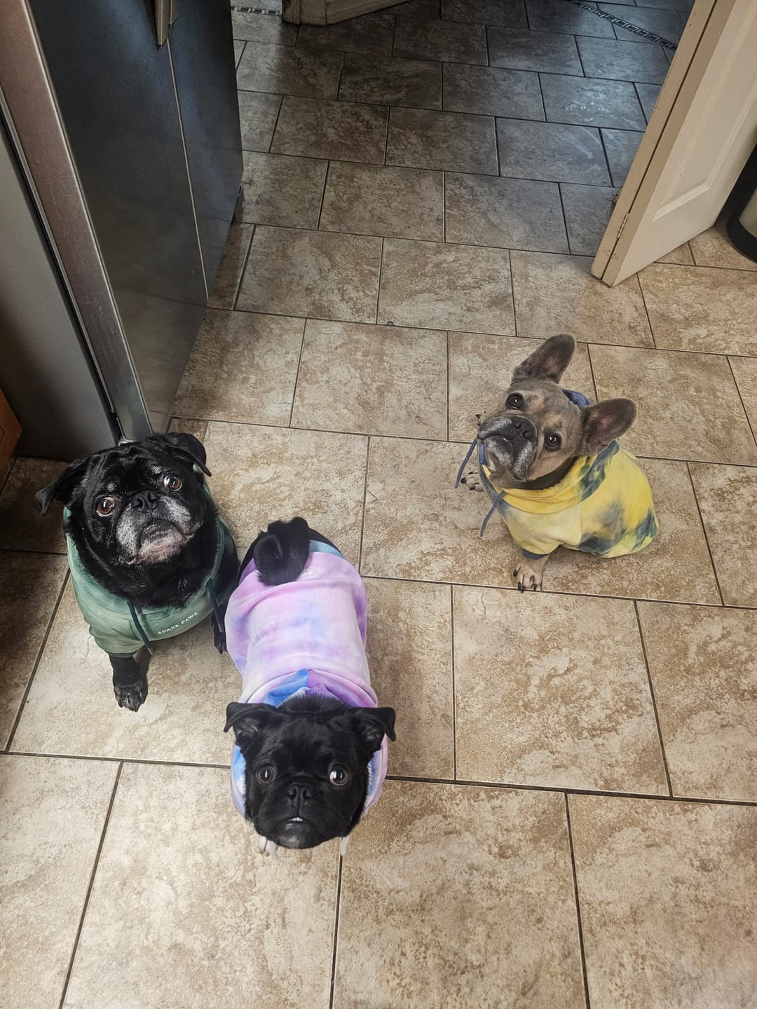 Customer photo review of Velvet Dog Hoodie - 90s Retro