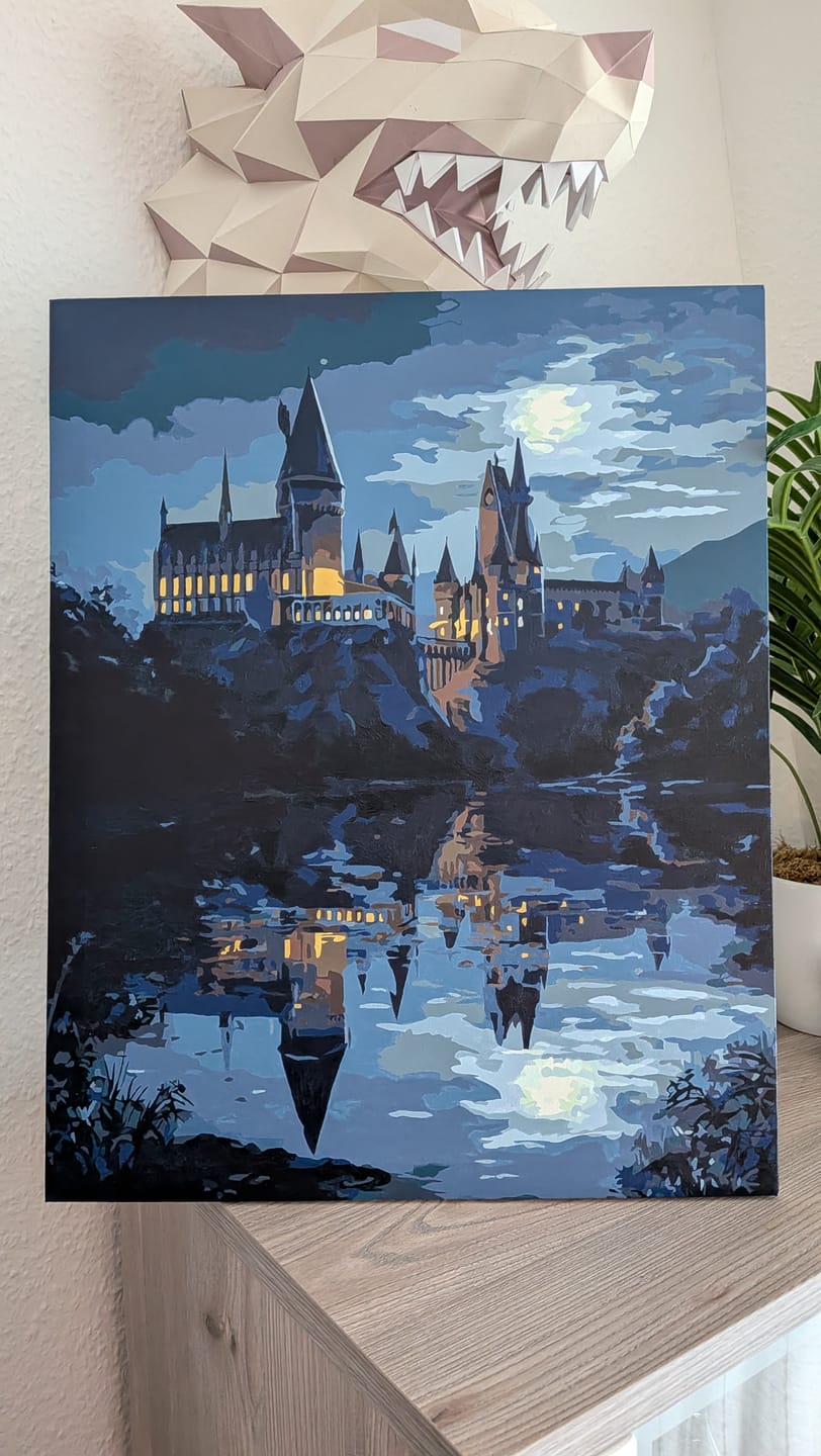 Customer photo review of Malen nach Zahlen - Mondbeschienenes Schloss