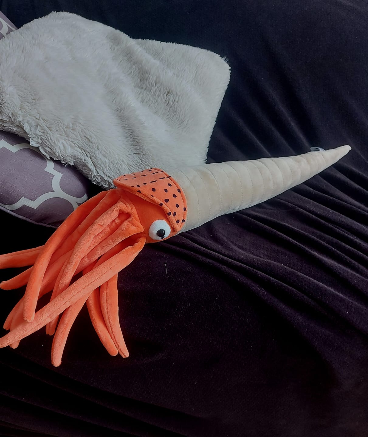 Customer photo review of Orthoceras Nautiloid Cephalopod Soft Stuffed Plush Toy