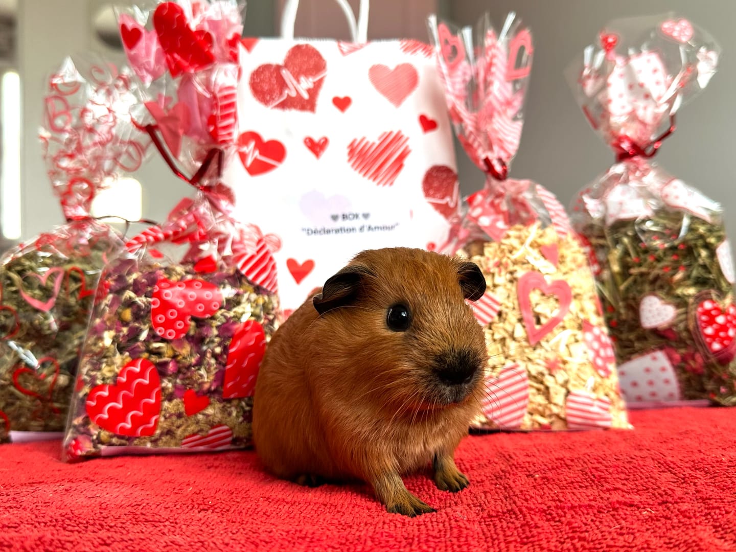 Customer photo review of La Box “Déclaration d’Amour”
