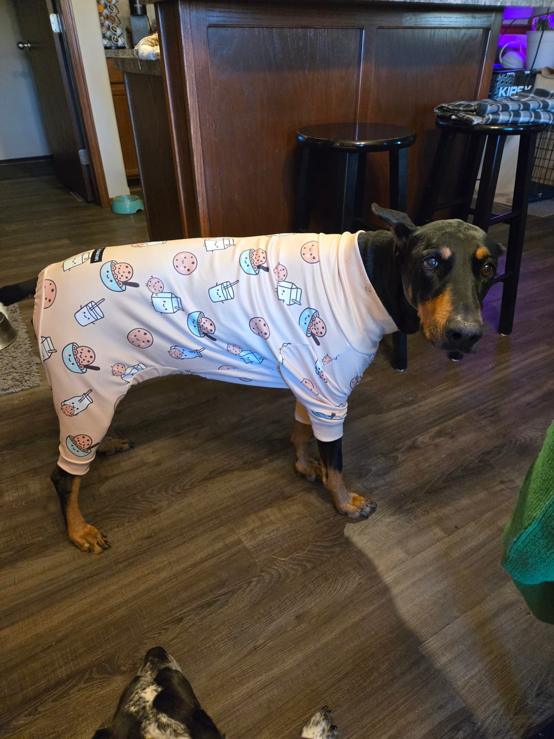 Customer photo review of Dog Pajama - Cookies and Milk