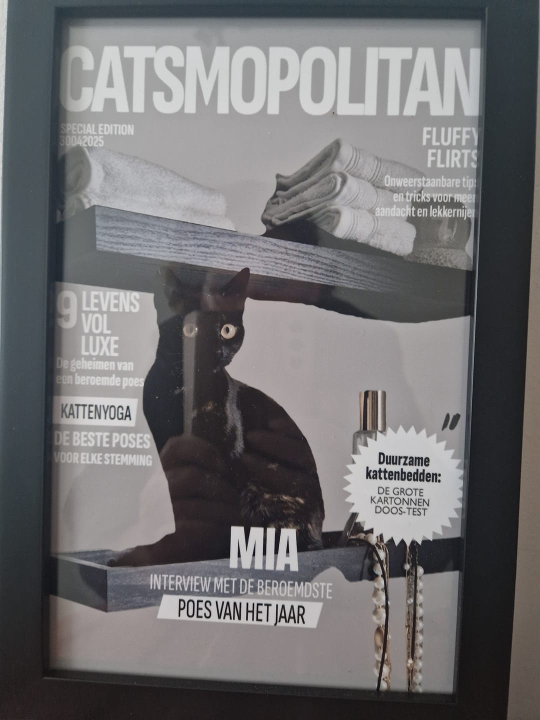 Customer photo review of Catsmopolitan - Gepersonaliseerde Poster