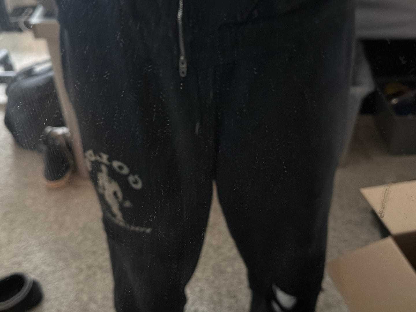 Customer photo review of 2054 - Gold's Iron Legacy Layered Joggers