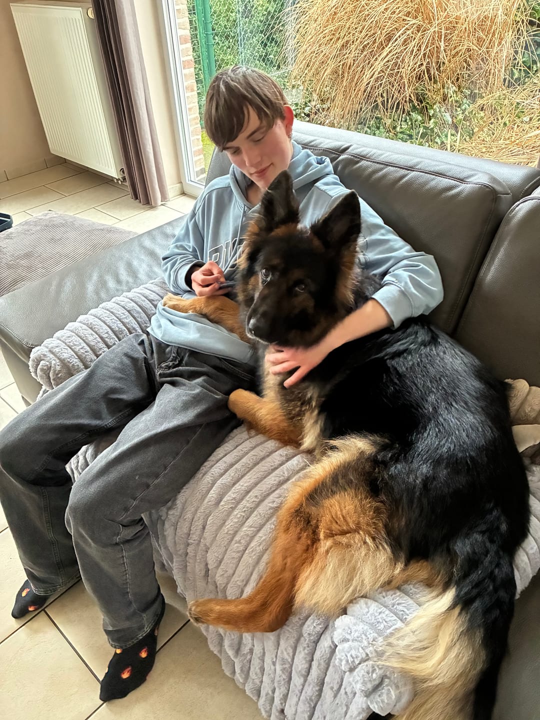 Customer photo review of Pet Perfect Luxe Bankbeschermer