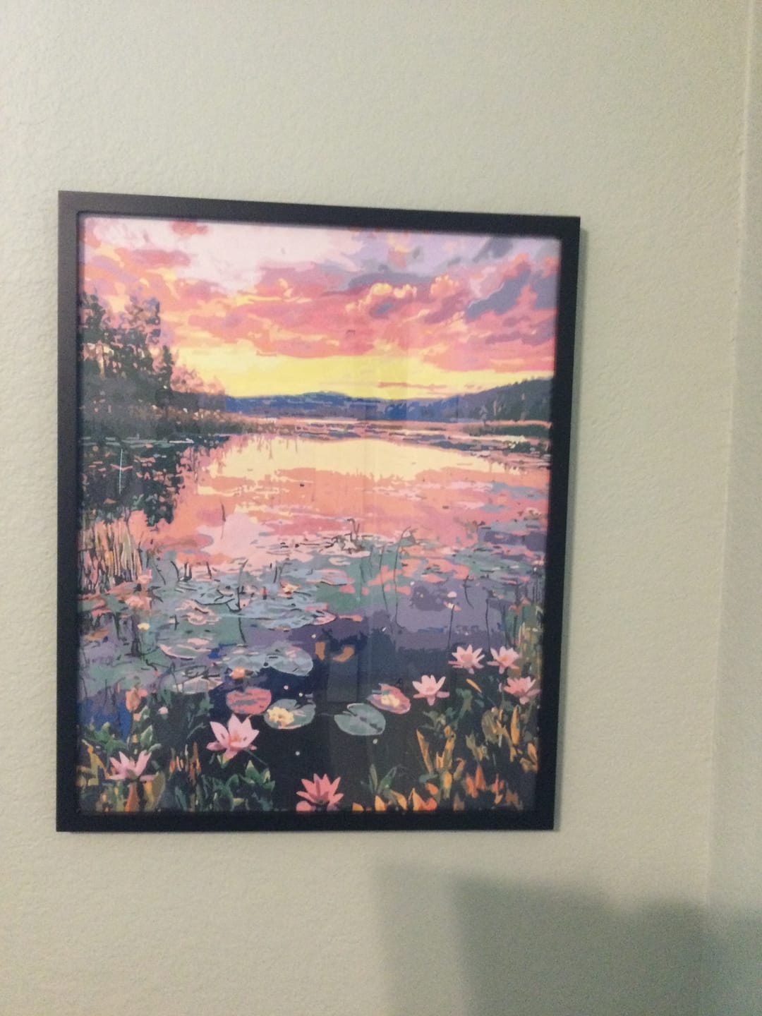 Customer photo review of Lily Sunset
