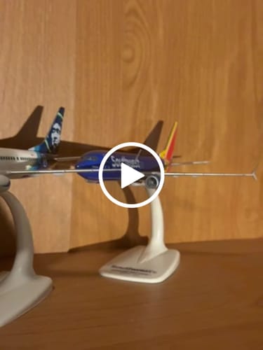Customer video review of SKYMARKS FLIGHT SOUTHWEST 737-800 1/200
