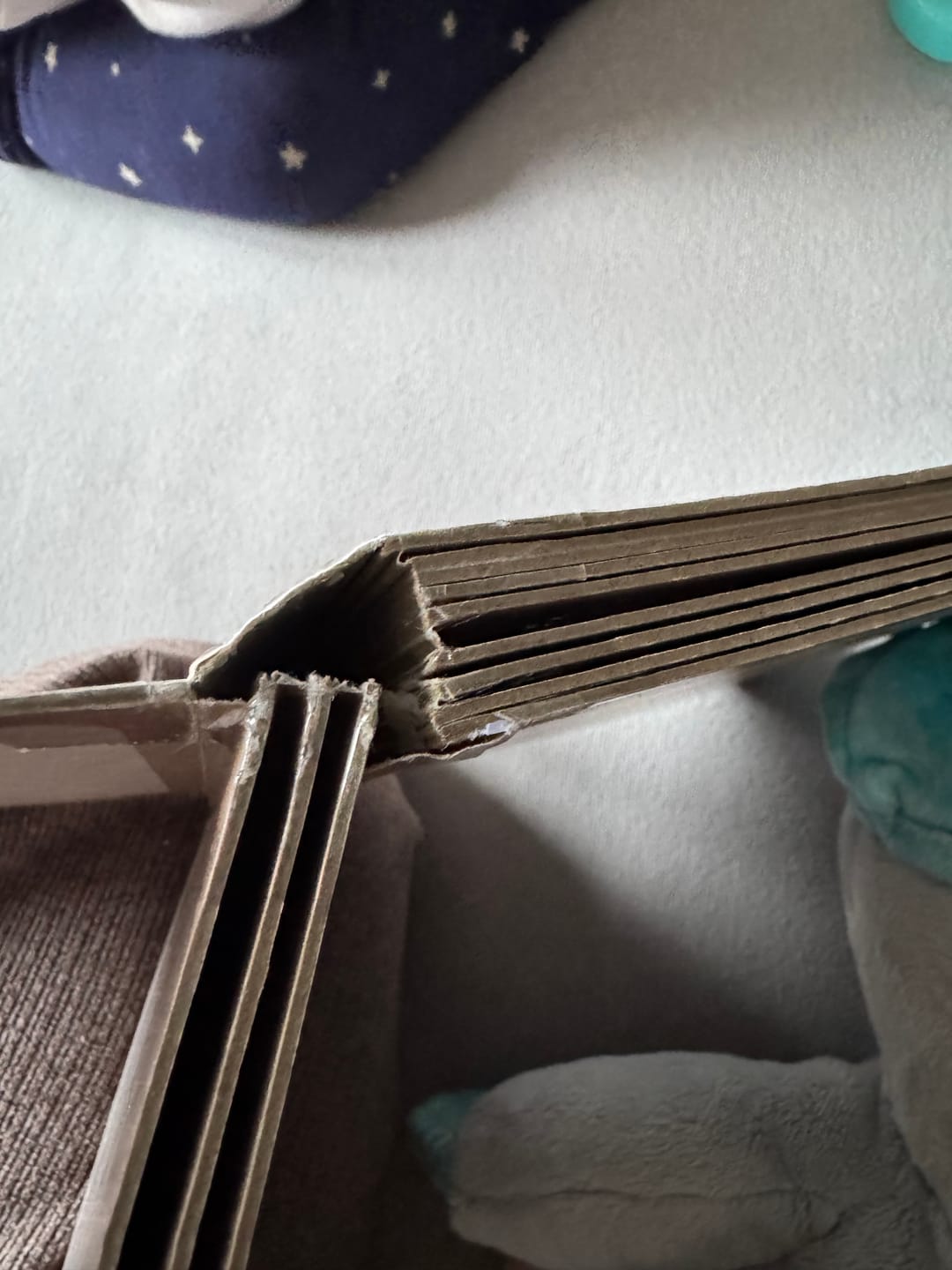 Customer photo review of nestliebe Das bin ich: Was ich fühle und erlebe!