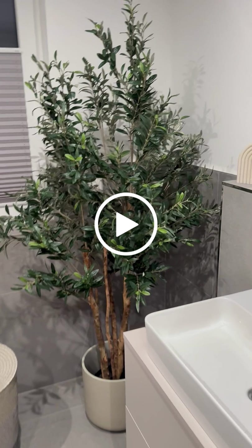 Customer video review of Vorbestellung Künstlicher Olivenbaum 180cm (feb '26)