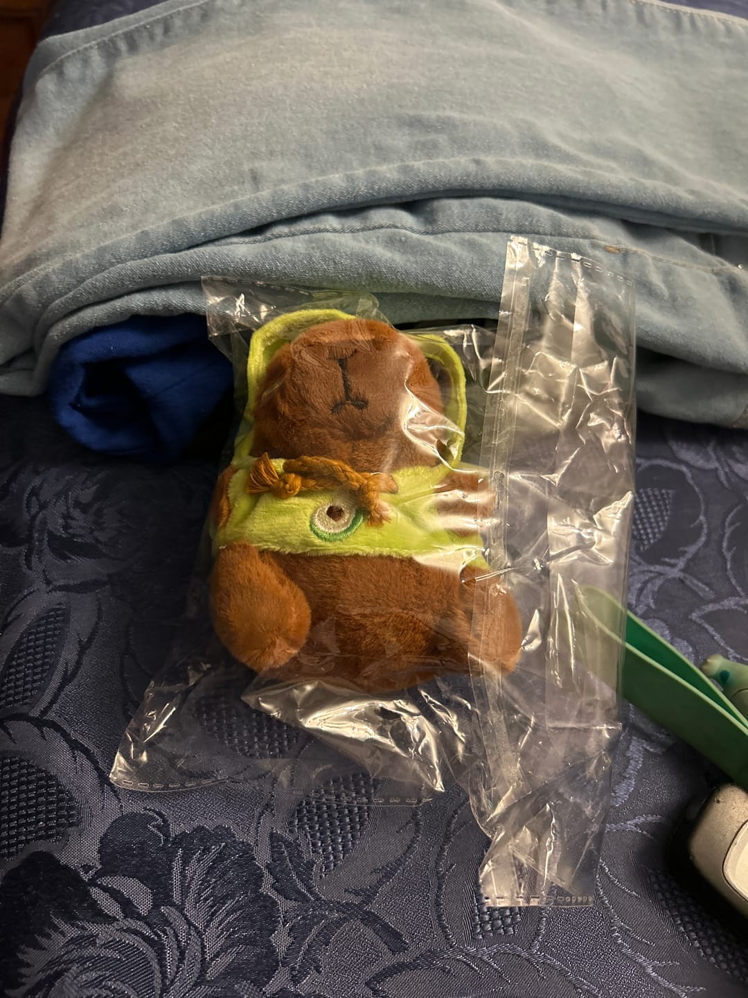 Customer photo review of Capybara with Hoodie Keychain
