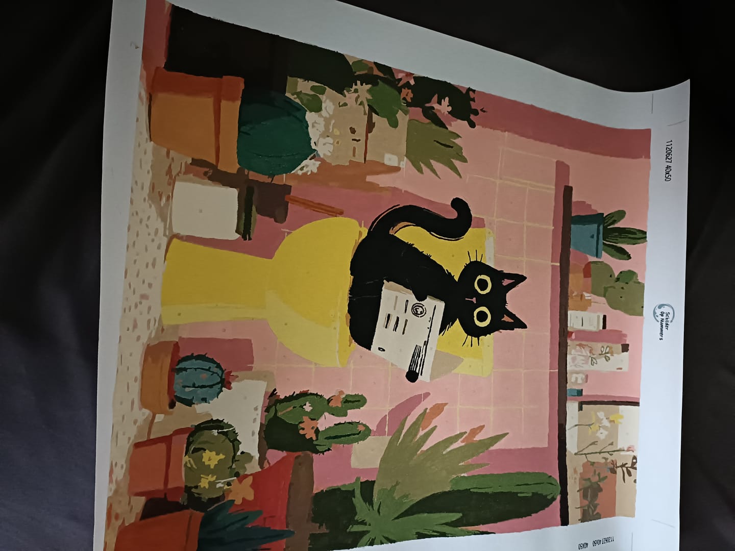 Customer photo review of De zwarte kat op het toilet