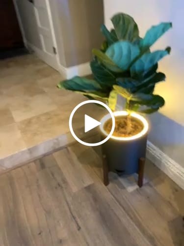 Customer video review of Aura | Large Round LED Planter