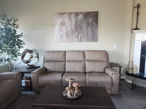 Customer's Golden Willow Grace wall art hanging above a taupe sofa in their living room.