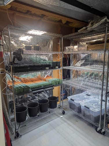 Customer photo review of Seed Starting Kit