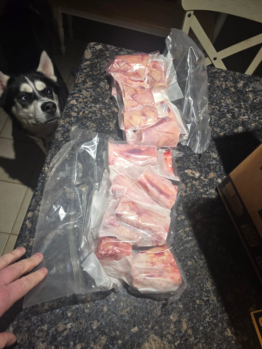 Customer photo review of BEEF MARROW BONES