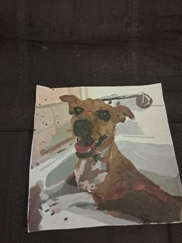 Customer photo review of Custom Paint by Numbers