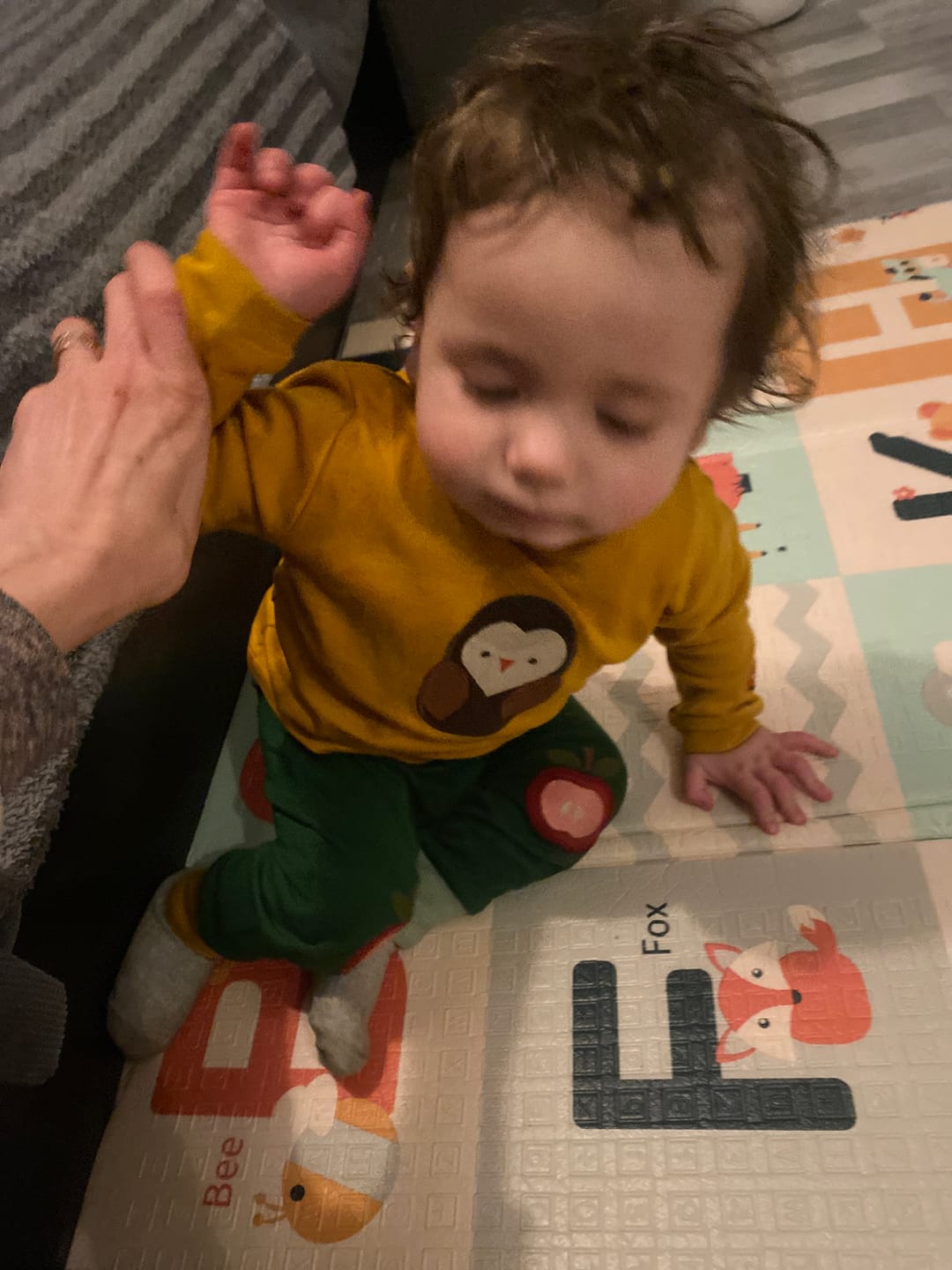 Customer photo review of Brown Owl Applique Long Sleeve T-Shirt