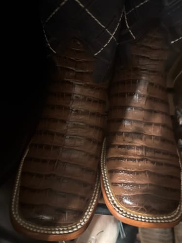 Customer photo review of Cowboy Boot Brown Caiman Belly