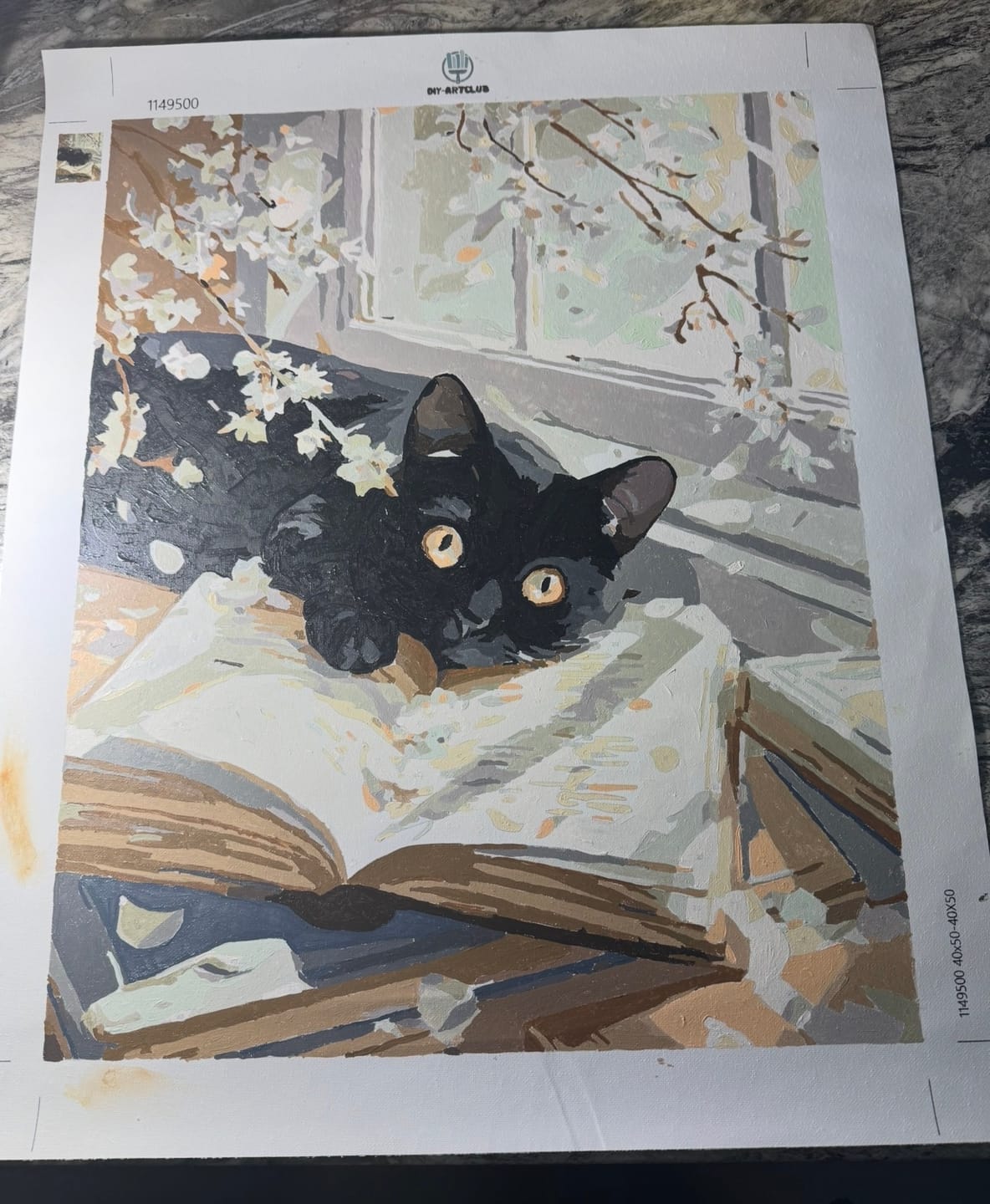 Customer photo review of The story keeper | Paint by Number