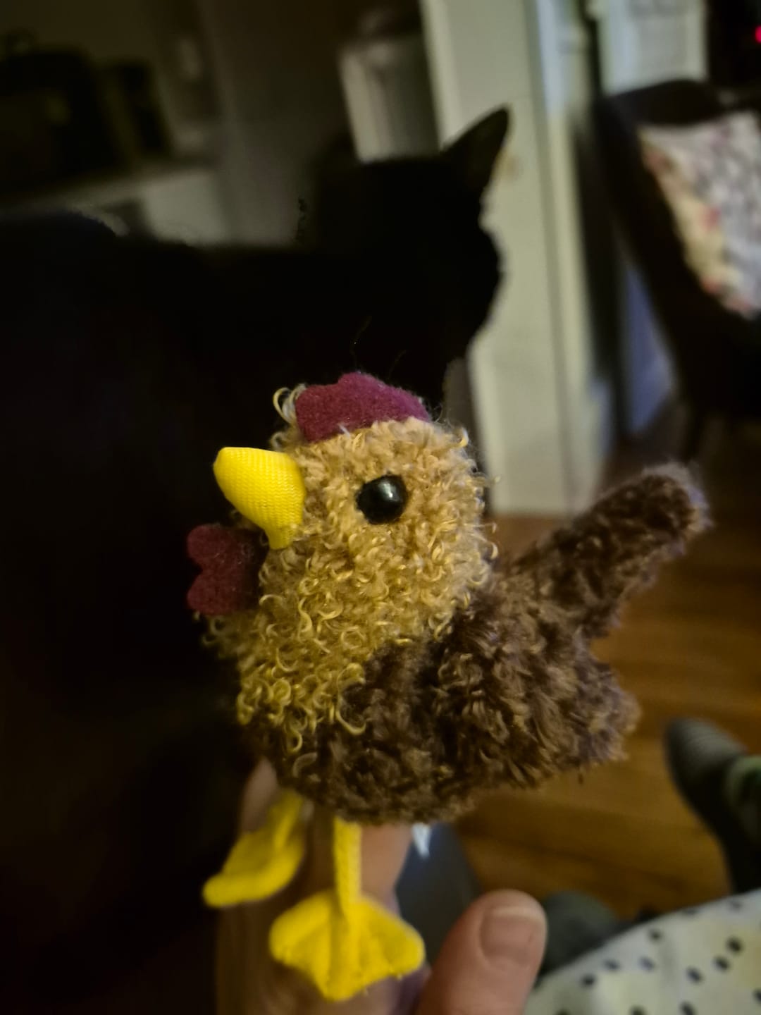 Customer photo review of Poule Marionnette